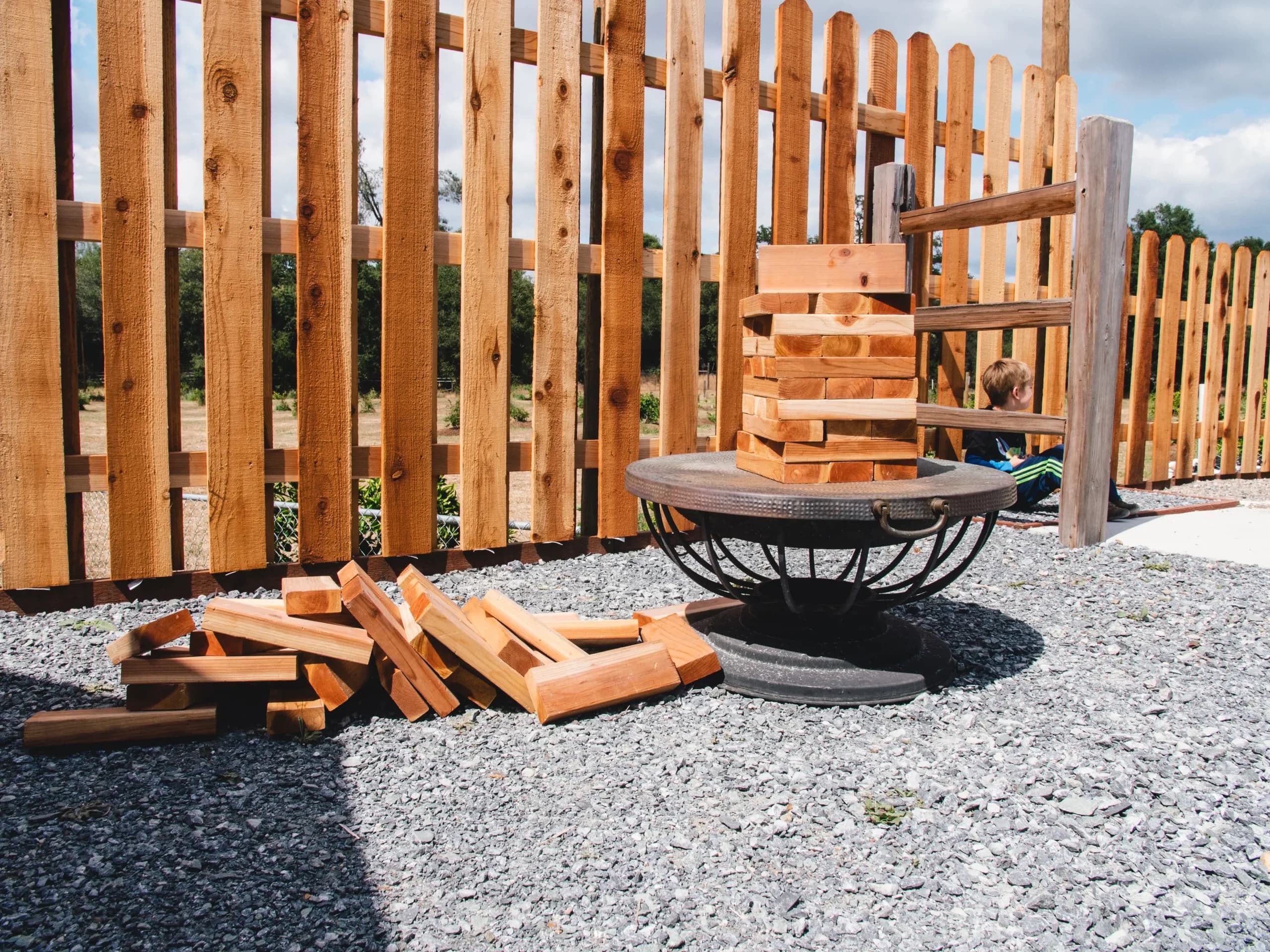 Woody Fence